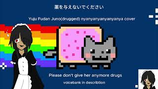 nyanyanyanyanyanyanya!