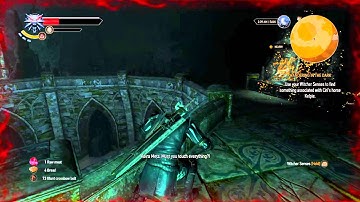 The Witcher 3: Wild Hunt Hunting Dog Rune