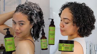 Full Wash Day Routine Short Curly Hair Mielle Rosemary Mint Review