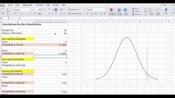 How to Use various TDIST, TINV Functions in Excel with Example| T-distribution with ExcelDr. Choden