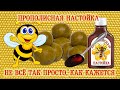 Прополисная настойка. Не всё так просто... Как кажется... | Propolis tincture. Not so simple...