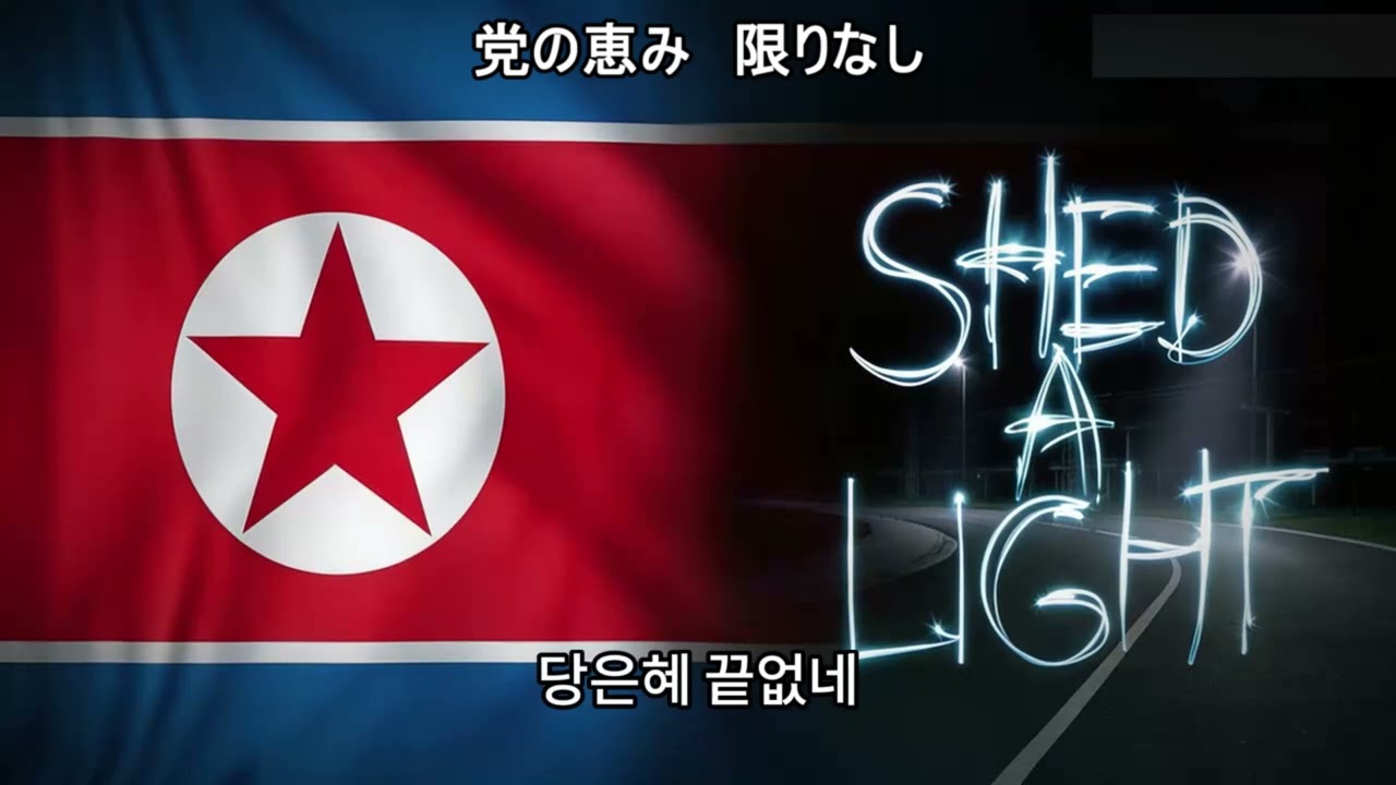 SHED A LIGHT(DPRK) Original ーRobin Schulz, David Guetta & Cheat Codes