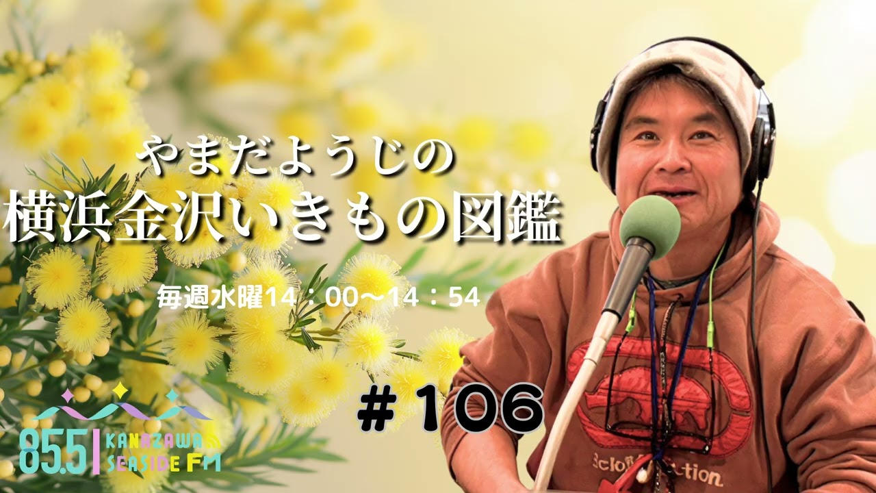 ラジオ番組『やまだようじの横浜金沢いきもの図鑑 ＃１０６』20260304放送回