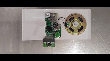 Sound Expression Greetings® USB Programmed Greeting Card Module