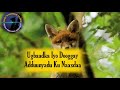 Maxamed warsame qasaali ubaxii baxaayaay with lyrics original