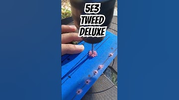 Tweed Deluxe 5E3 Speed Drill