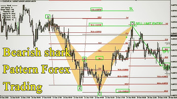 Harmonic Pattern Shark - How to trade bearish shark Pattern Forex Trading Strategies