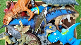 Hunting T-Rex, Distortus Rex, Spinosaurus, Megalodon, Mosasaurus And More Dinosaur Toy
