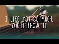 I Like You So Much, You’ll Know It (我多喜欢你，你会知道) - A Love So Beautiful OST [Fingerstyle Cover]
