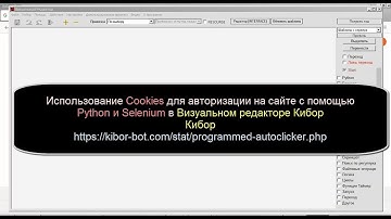 Использование Cookies для авторизации на сайте с Python и Selenium в Визуальном редакторе Кибор