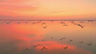 Unveiling the Tribute: Shreya Ghoshal Sings Lata Mangeshkar's Classics