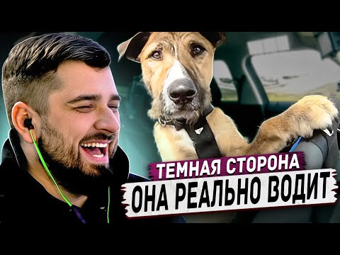 видео: HARD PLAY РЕАКЦИЯ ТЁМНАЯ СТОРОНА -  Лучшие ПРИКОЛЫ #48