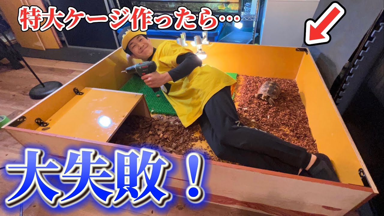 かめたページです ドラゴンボールZ スーパーバトル ベジータ トランクス Wキラ 未はがし