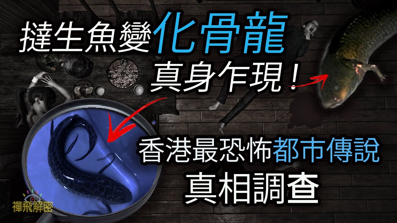 (精選)【撻生魚變化骨龍】化骨龍真身首度曝光? 誤飲化骨龍湯全身骨骼被溶解香港最恐怖都市傳說的真相 EP240(粵語中字CC)  #生魚 #化骨龍 #舊香港 #都市傳說