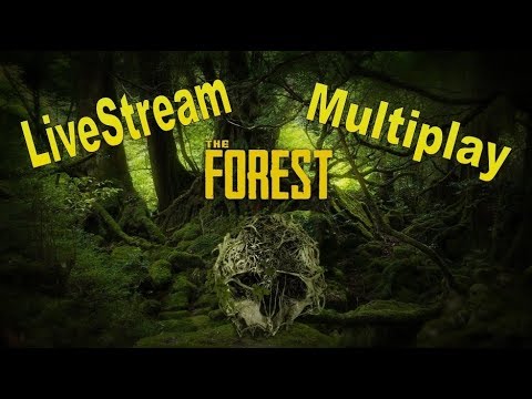 lets play a little game THE FOREST Multiplayer Survival XIX #Let's Play The Forest #deutsch #HD #gameplay #together