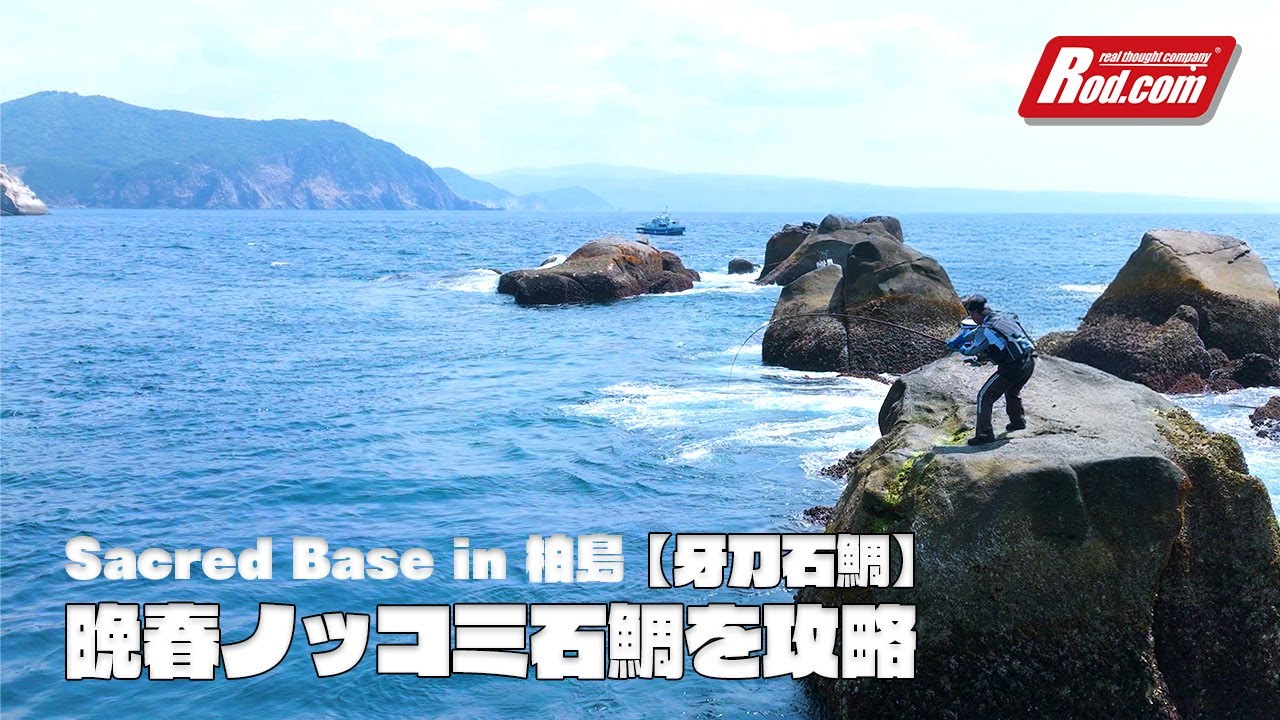【Sacred Base】in 柏島　晩春のノッコミ石鯛を攻略［牙刀石鯛］後編
