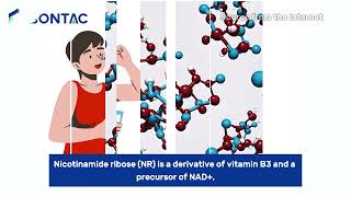 Enhancing Your Health Understanding Nr-Malate