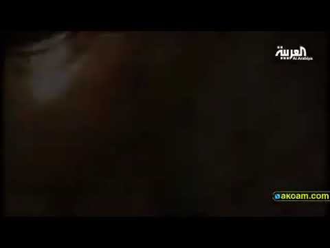 نيلسون مانديلا المشوار الطويل