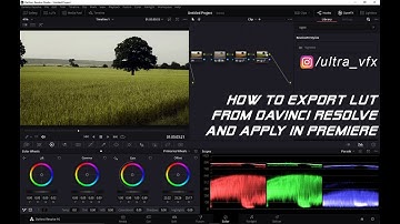Export LUT from Davinci Resolve 16 | Use in Premiere Pro | Ultra VFX