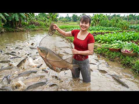 Harvesting 10,000 Giant Fish Daily | Taking Care Of Vegetables & Selling At Village Market 🐟🥬