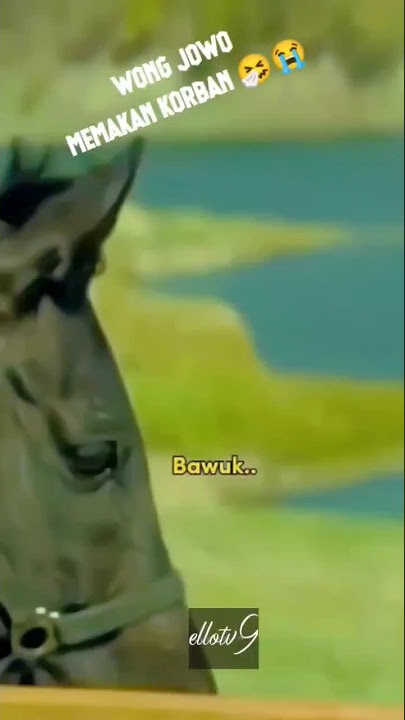 drama korea 😂 #trending #drakor #jawa #lucu #funny #viral