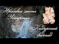 Кездурский водопад/ п.Кез,Удмуртия / Красивые места Удмуртии / Природа Удмуртии