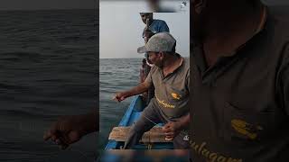 King Mackerel Caught Using Live Yellowtail Scad