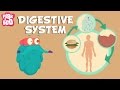 Digestive System | The Dr. Binocs Show | Learn Videos For Kids