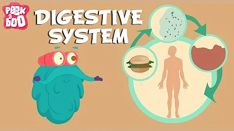 Digestive System | The Dr. Binocs Show | Learn Videos For Kids - DayDayNews