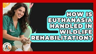 How Is Euthanasia Handled In Wildlife Rehabilitation - Animal Care Jobs