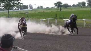 Soyador(Progreso-26/11/12-Clásico 300Mtrs.)