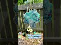 Holographic Suncatcher 💙✨💙 #diy #resinart #suncatchers