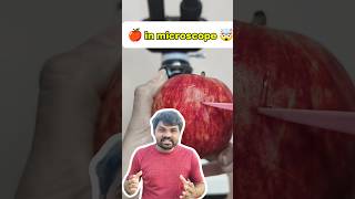 🍎 under microscope 🤯 #apple #microscope #inside #ravithosaradaga #guess #viral #fruit
