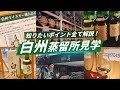 行く前に要チェック!【2025年最新】白州蒸留所を楽しむポイント徹底解説