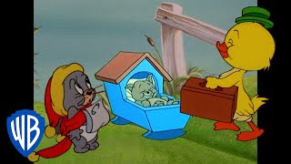 Tom y Jerry en Español  | Los personajes más monos de Tom y Jerry | @WBKidsEspana​