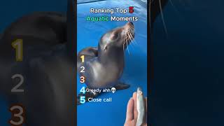 Best moments our fishy friends have provided 😂 #funny #ranking #shorts