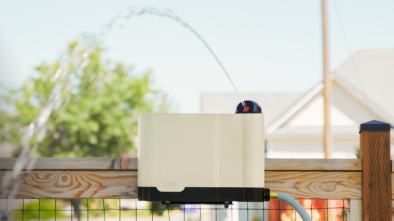 OtO Lawn — афера или переломный момент?