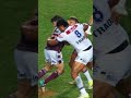 Browny was covering ground last night 😮‍💨