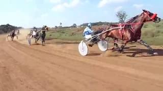 1.Sonico Tp 1.57.88. 2. Nelson 1.58.30. 3.Admirado.4. Gaccet. 5. Ultramontado.