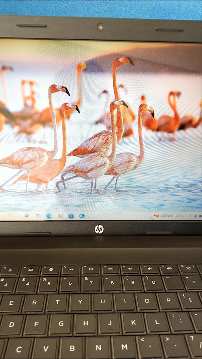 How to Take a Screenshot on an HP Laptop and PC