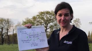 Parasitisme Chez Les Génisses