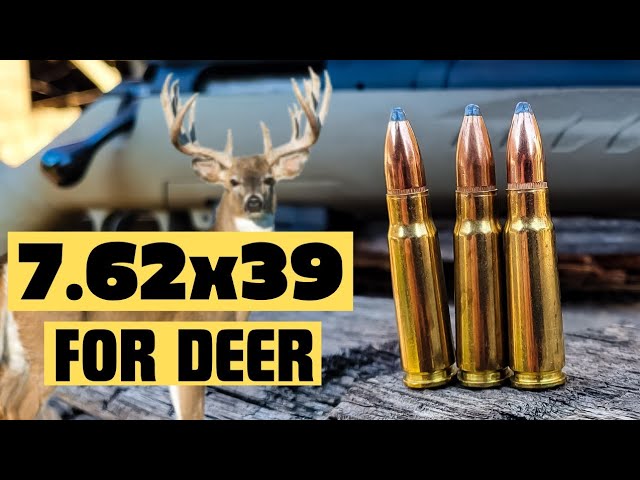 7.62x39 For Deer Hunting - Ammo Testing 