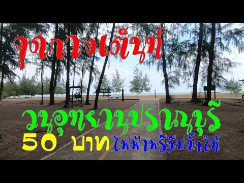 จุดกางเต็นท์วนอุทยานปราณบุรี 50 บาท ไฟฟ้าฟรีมีปลั๊กให้