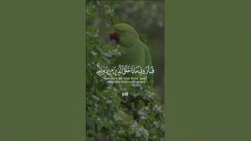 سورة لقمان | للقارئ اسلام صبحي #تلاوات
