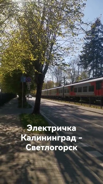 Электричка из Калининграда в Светлогорск - YouTube
