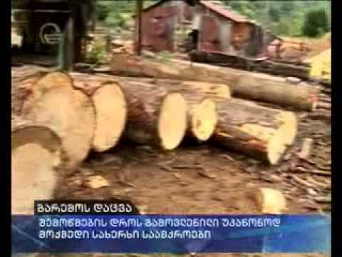 ვიდეო: ხის დაცვა ტენიანობისგან