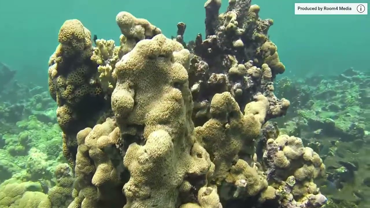 12 4 2024, 11 47 36 p  m    Destitation Colombia