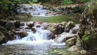 Tranquillità assoluta con il rumore dell'acqua di ruscello che scorre per dormire - ASMR screenshot 5