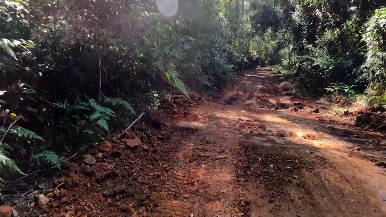 Branch Creek circuit pt 1  Bellthorpe National Park Queensland Australia.