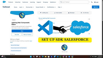 How to Set Up Salesforce CLI (SFDX) in VS Code from Scratch! 💻 | Step-by-Step Guide for Beginners